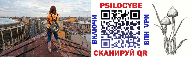 Псилоцибиновые грибы прущие грибы  закладка  Вышний Волочёк 